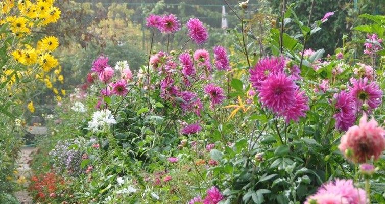 Jardin impresionista