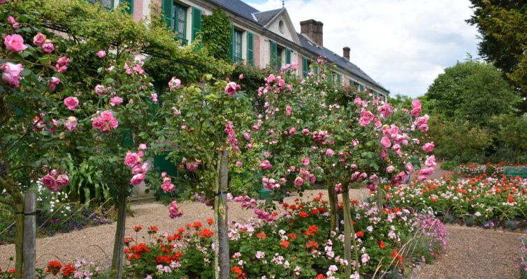 El jardin de rosas de Giverny